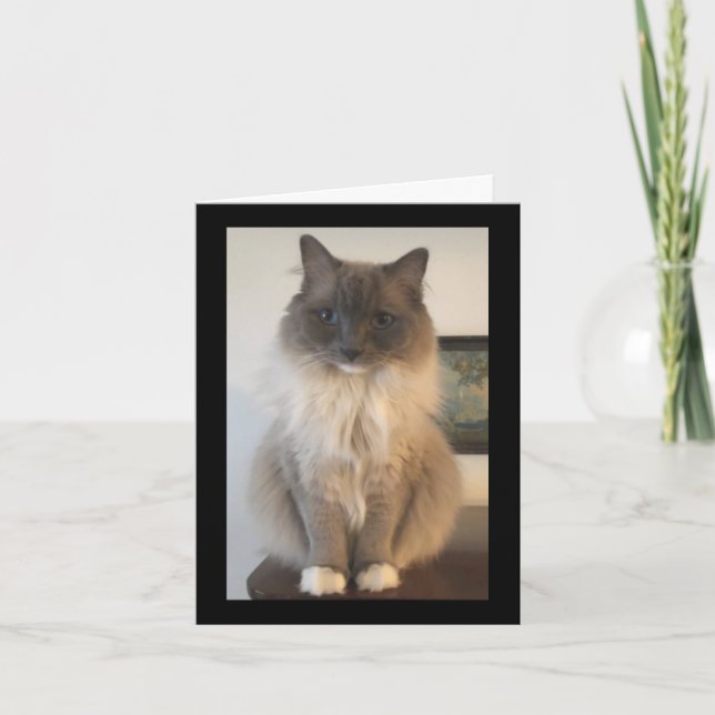 Cartão Definição de CAT (Frente)