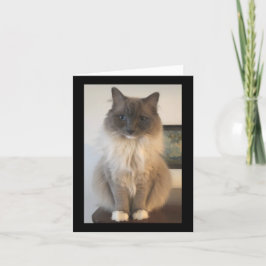 Cartão Definição de CAT