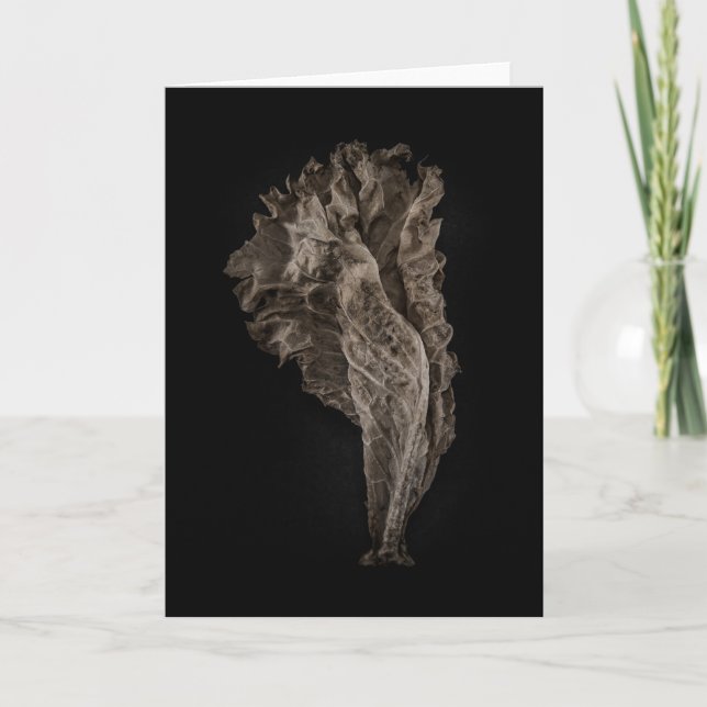 Cartão Deixa a versão de cor n.o 8 (Frente)