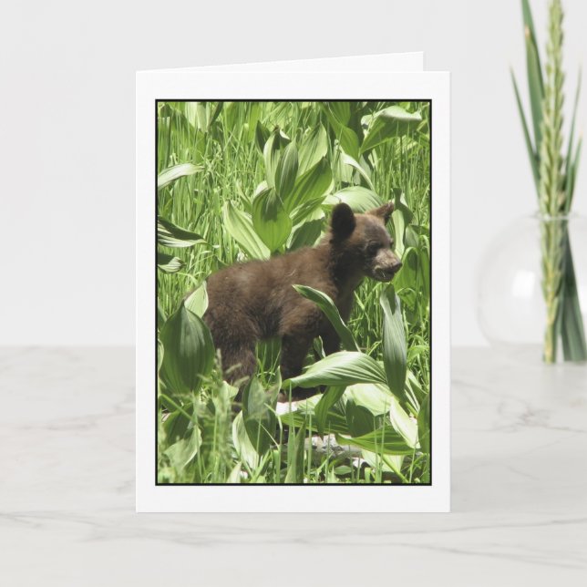 Cartão Deixar As Ursinas Serem Cartazes (Frente)