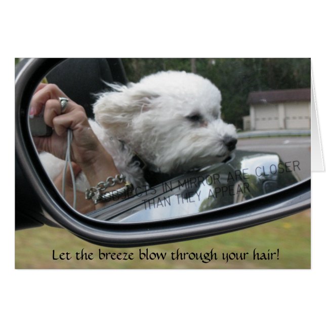 Cartão "Deixe a brisa soprar através do seu cabelo" (Frente Horizontal)