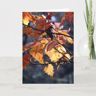 Cartão Deixe A Luz Brilhar