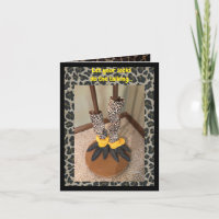 Deixe as Meias fazerem a palestra