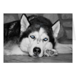 Cartão Deixe-me dormir, por favor