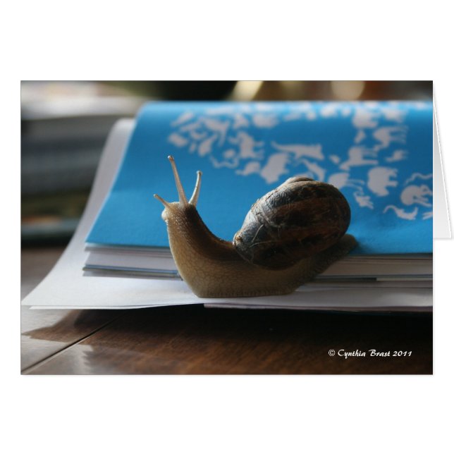 Cartão Deixe o Sol brilhar! (Frente Horizontal)