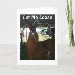 CARTÃO DEIXEM-ME DIZER FELIZ ANIVERSÁRIO