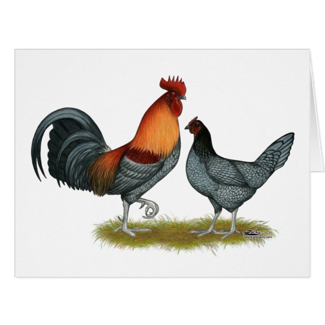 Cartão Delaware Blue Hen (Frente horizontal)