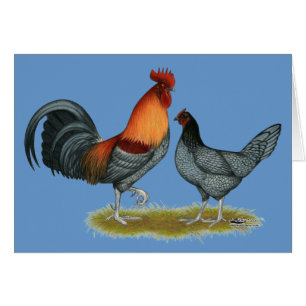 Cartão Delaware Blue Hen