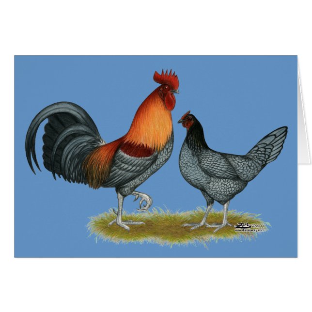 Cartão Delaware Blue Hen (Frente horizontal)