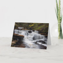 Delaware Falls - Autumn 2018