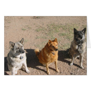 Cartão Deleites de espera