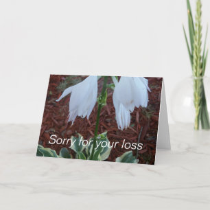 Cartão Delicar as flores brancas de Hosta em uma simpatia