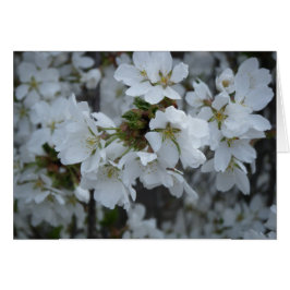 Cartão "Delicate Blossoms"