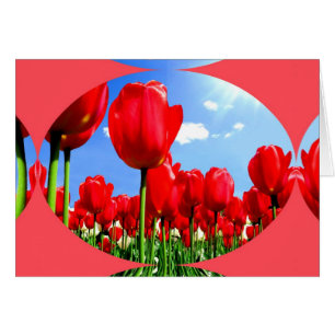 Cartão Delícia de Tulipas Vermelhas