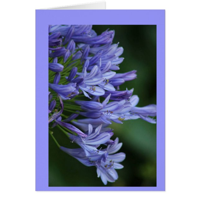 Cartão Delicioso (Frente)