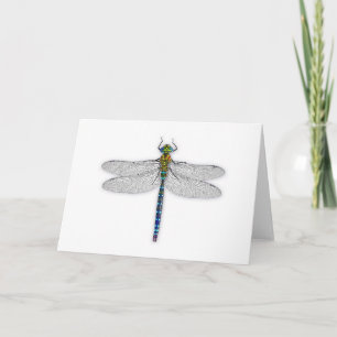Cartão Delightful Dragonfly