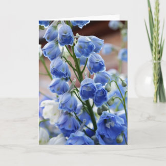 Cartão Delphinium Flowers Greeting Card