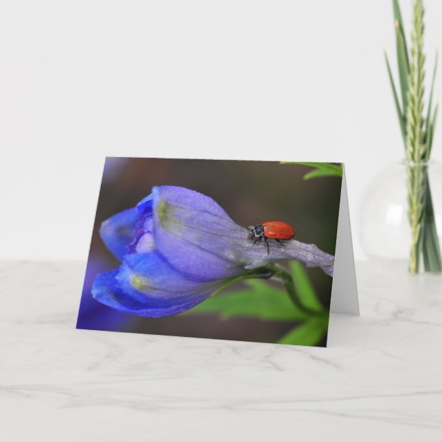 Cartão Delphinium Greeting Card (Frente)