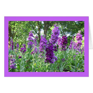 Cartão Delphinium roxo