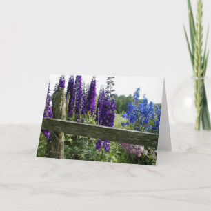 Cartão Delphiniums
