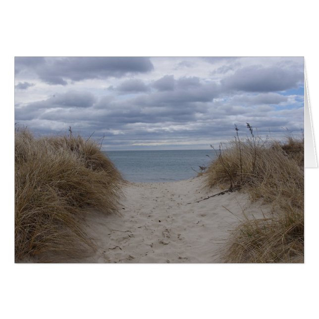 Cartão Deniseport Beach (Frente Horizontal)