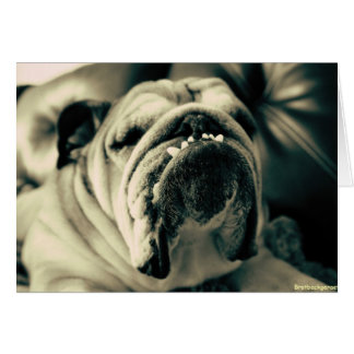 Cartão Dentes de Bully