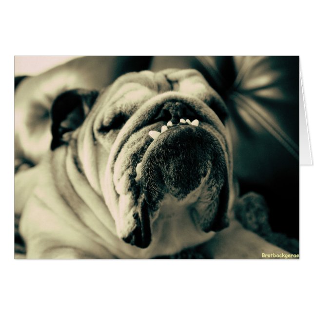 Cartão Dentes de Bully (Frente Horizontal)