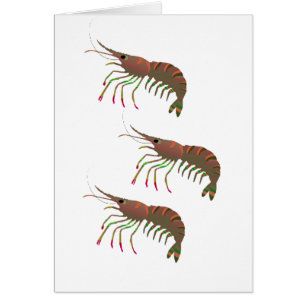 CARTÃO DENTRO DA BAÍA