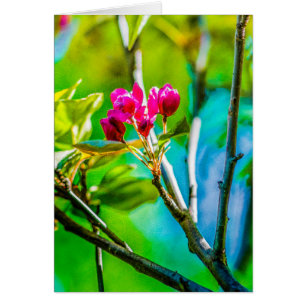 Cartão Dentro de Flor