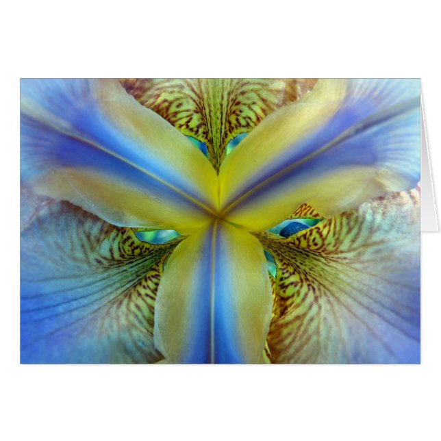 Cartão Dentro de Iris (Frente Horizontal)