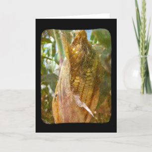 Cartão Dentro de Vazio de Camarão de Campo Todas as Sauda