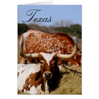 Cartão Dentro de Vazio de Longhorn Texas Laranja queimado