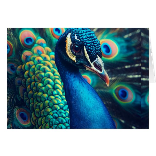 Cartão Dentro de Vazio de Perfil de Peacock (Frente Horizontal)