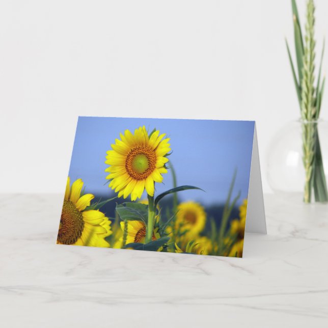 Cartão dentro de vazio para a sua personalização (Frente)