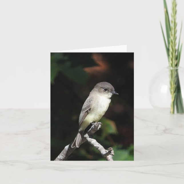 Cartão dentro vazio de Phoebe (Frente)