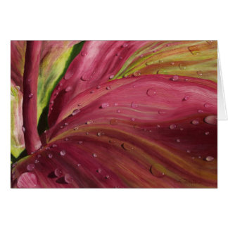 Cartão "Depois da Chuva"