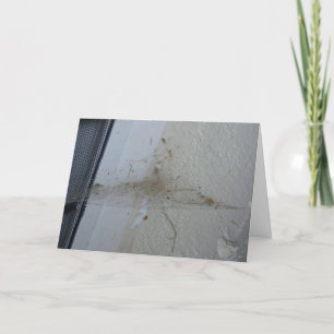 Cartão "Depois de um Hallowe'en Card de um partido de ara