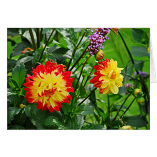 Cartão DES Plantes-2 de Jardin