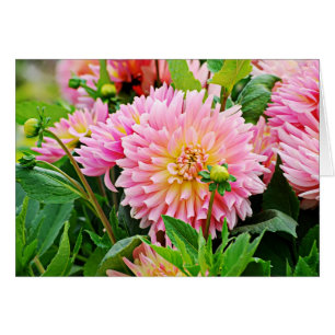 Cartão DES Plantes-4 de Jardin