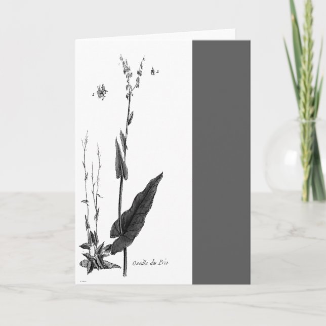 Cartão DES Prés de Oseille (Frente)