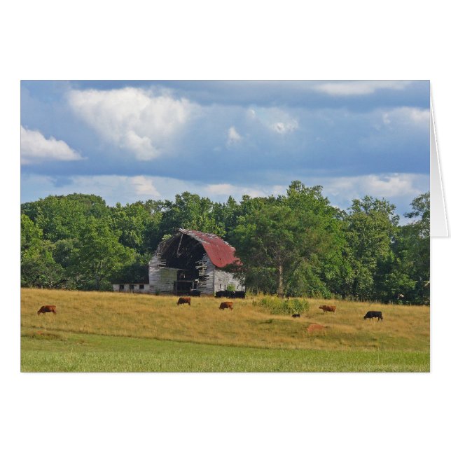 Cartão Desaparecido, mas não esquecido (Frente horizontal)