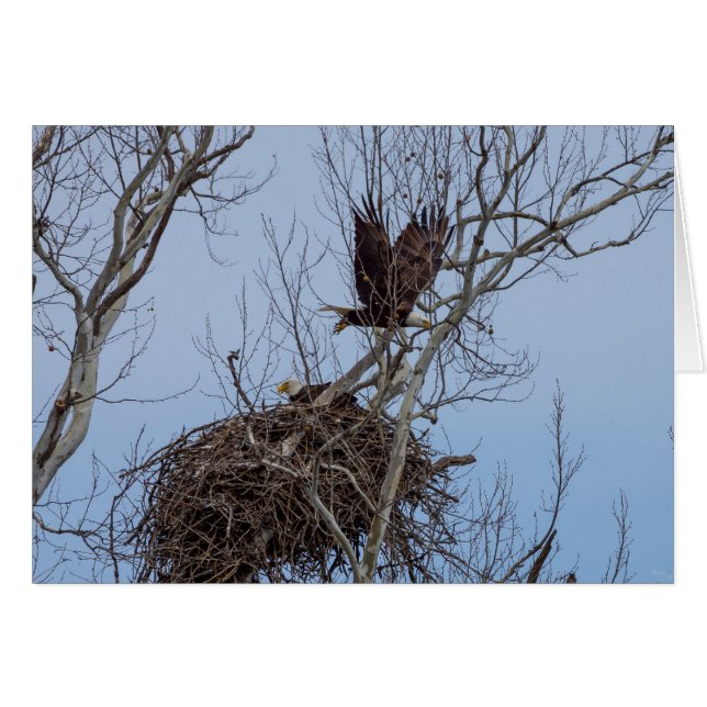 Cartão Desativado Para Mais (Frente horizontal)