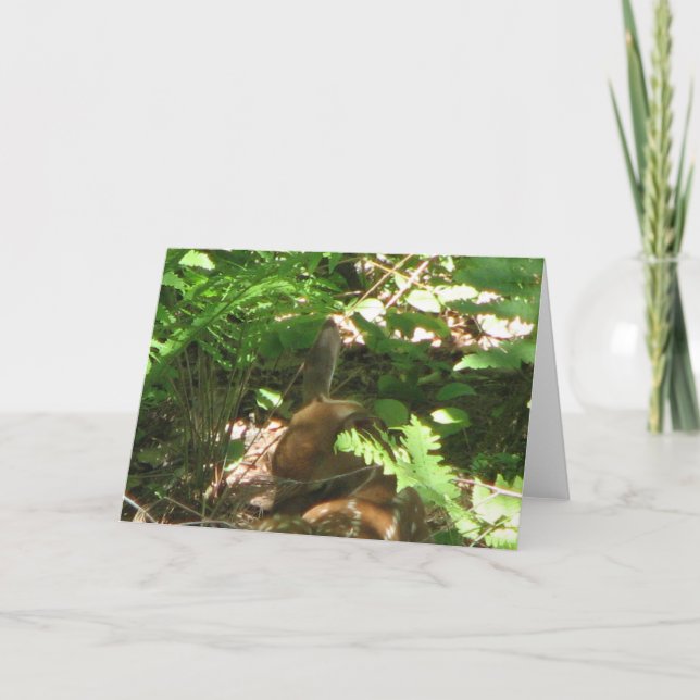 Cartão Descarte Fawn (Frente)