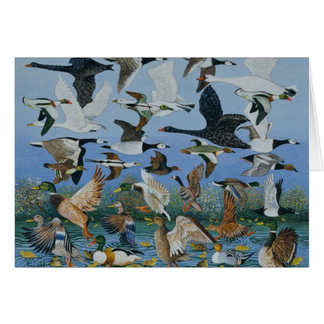 Cartão Descolando 1996 (Frente Horizontal)