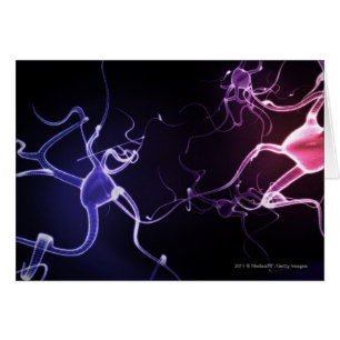 Cartão Descrição colorida dos neurônios