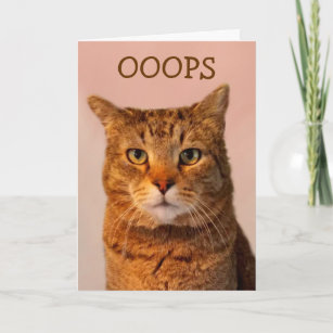 Cartão Desculpas de Gato Lamentáveis