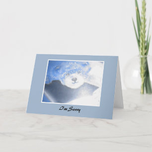 Cartão Desculpas do Urso Teddy