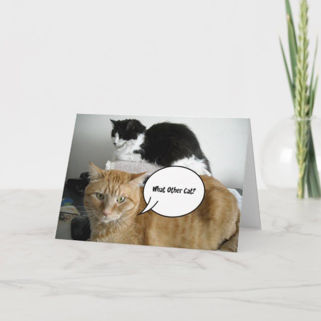 Cartão Desculpe (Frente)