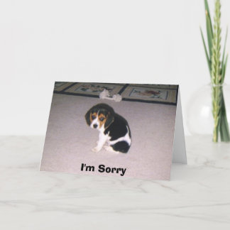 Cartão Desculpe