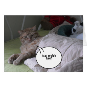 Cartão Desculpe-me Saudação